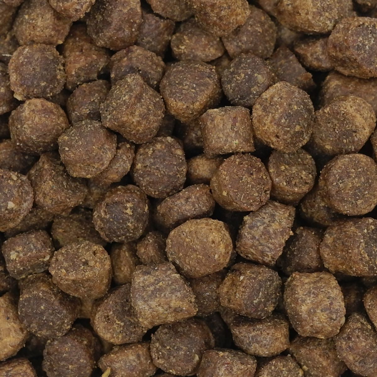 ドッグフード 犬用ドライフード ネイチャーズテイスト NATURE'S TASTE for Dogs ローアレルゲン カンガルー＆サーモン 3.0kg 成犬～シニア カンガルー＆サーモン