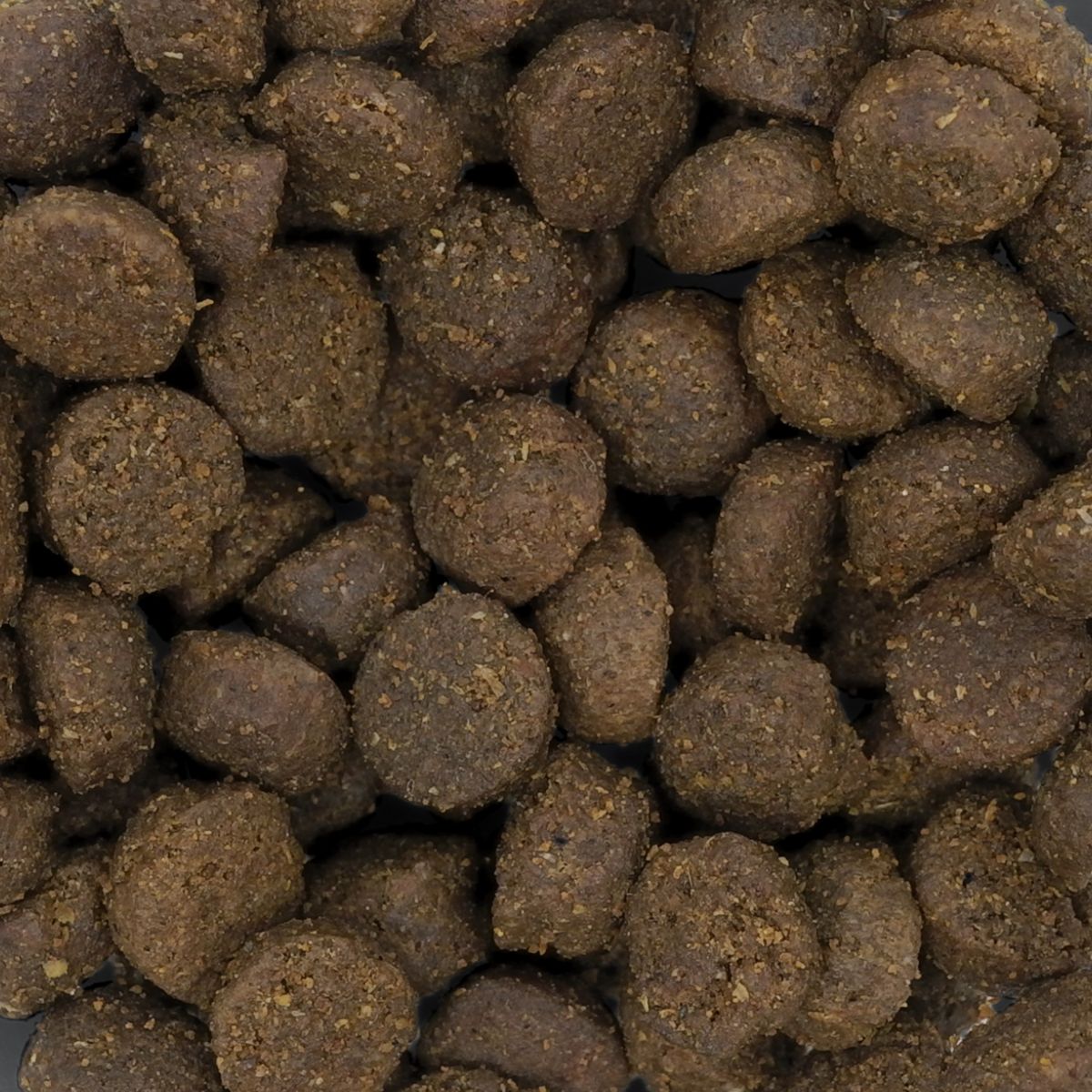 キャットフード 猫用ドライフード ネイチャーズテイスト NATURE'S TASTE for Cats キャット チキン＆ターキー 内容量：800g (200g×4袋) 全年齢対応 ペット用品 ペット