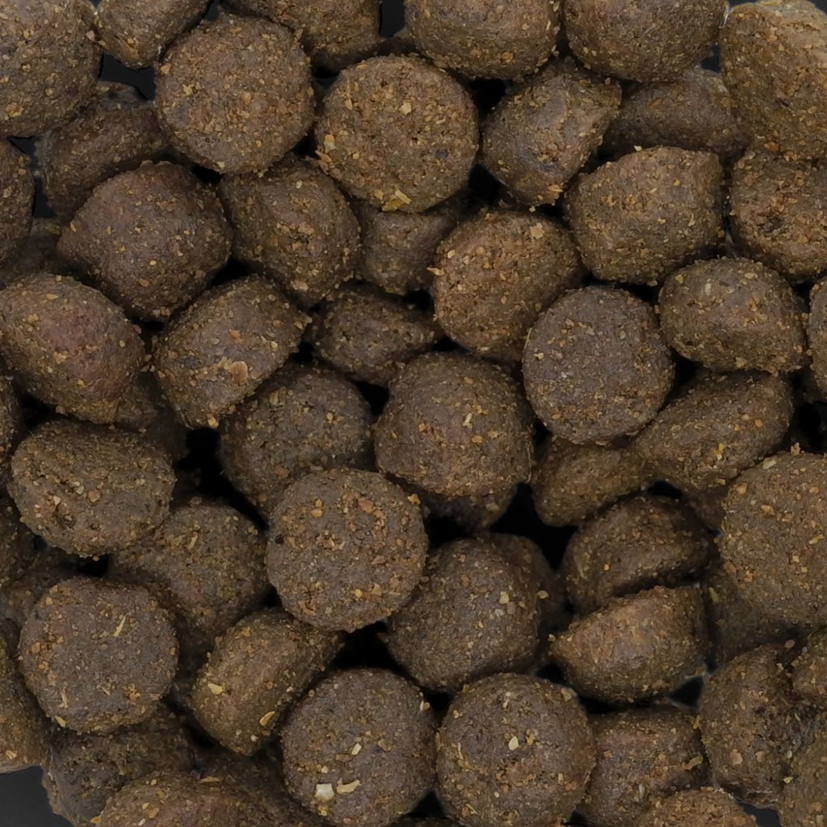 キャットフード 猫用ドライフード ネイチャーズテイスト NATURE'S TASTE for Cats キャット カンガルー＆ターキー 内容量：800g (200g×4袋) 全年齢対応 ペット用品 ペット