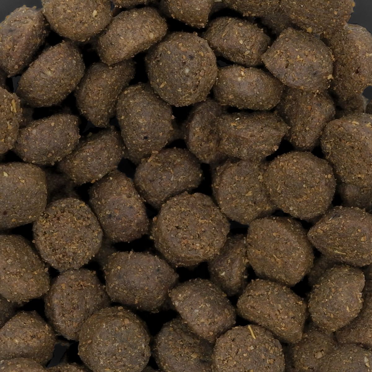 キャットフード 猫用ドライフード ネイチャーズテイスト NATURE'S TASTE for Cats キャット マッカレル＆サーモン 内容量：800g (200g×4袋) 全年齢対応 ペット用品 ペット