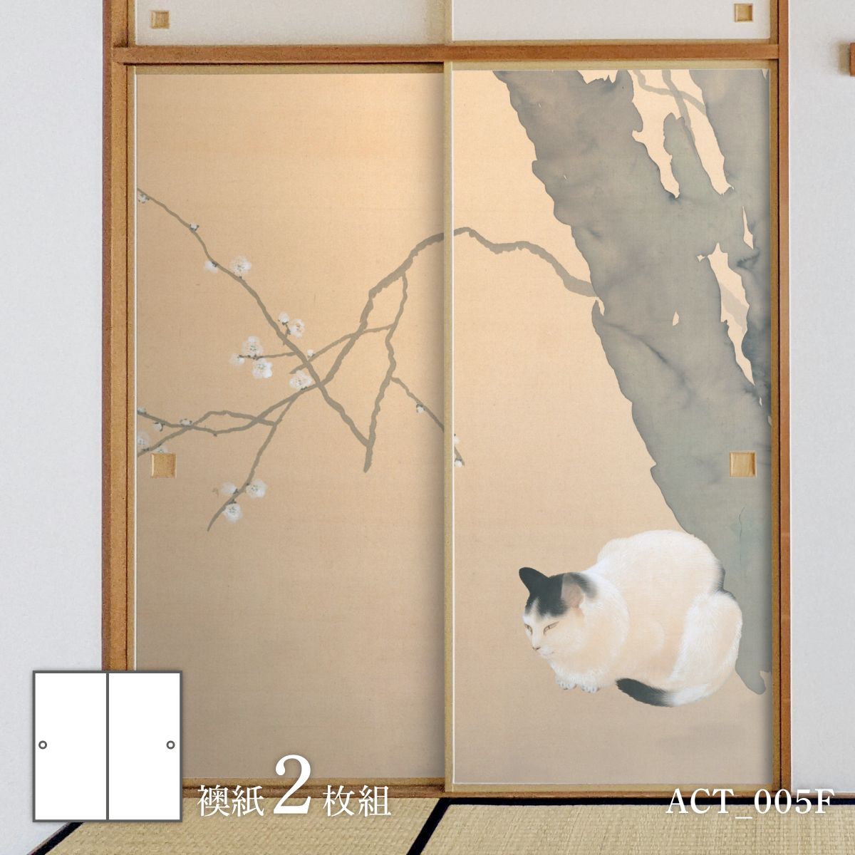 猫乃目様ꗯ̤̮ 撮影のたびに攻撃され短くなっていく背景紙 すっかり遊び場です みんな