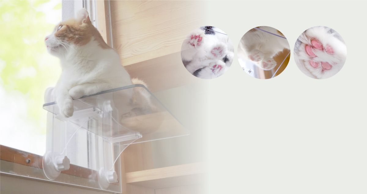 窓用キャットステップ 吸盤タイプ PE4022 1枚 窓辺 透明 クリア 規格：212×400×220mm キャットタワー 猫用 インテリア 日光浴 簡単施工 簡単着脱 ペット用品 ペット