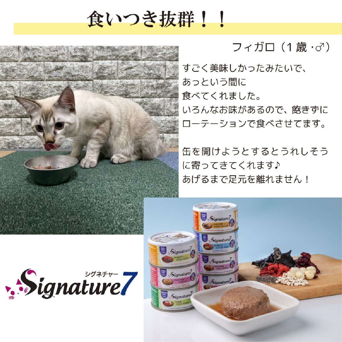キャットフード 猫缶 ウェットフード シグネチャー7 Signature7 キャット パティ ツナ&ゴジベリー 内容量：80g 水曜日 猫用フード ペット用品 ペット