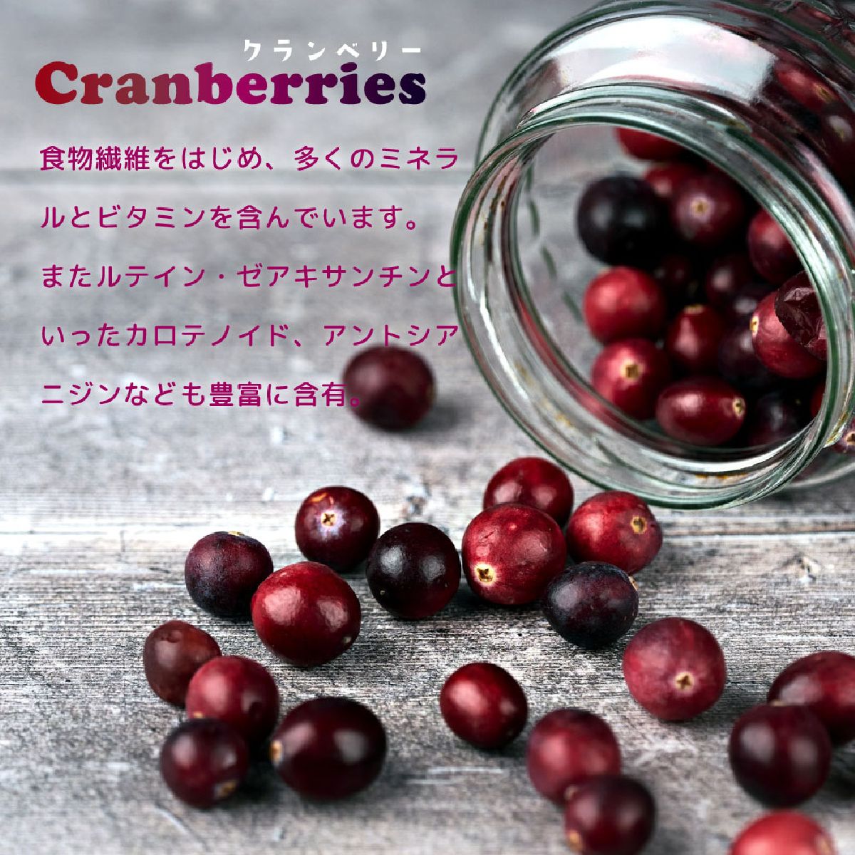 キャットフード 猫缶 ウェットフード シグネチャー7 Signature7 キャット パティ ツナ&クランベリー 内容量：80g 日曜日 猫用フード ペット用品 ペット