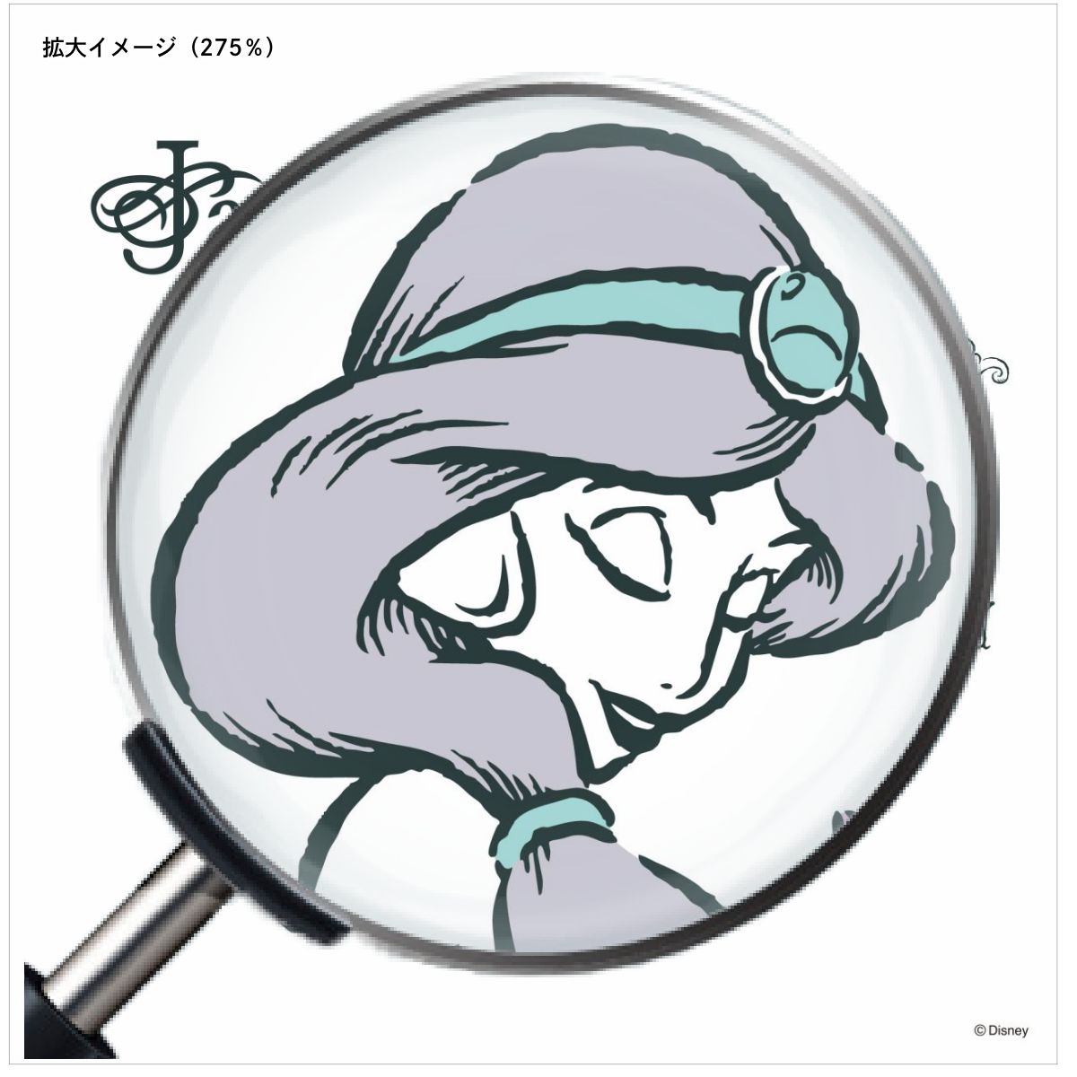 ディズニーキャラクター ふすま紙 ディズニープリンセス アラジン ジャスミン NTLP-023F 水で貼るタイプ 再湿 襖紙 幅約92cm×長さ約182cm 2枚1組 アサヒペン