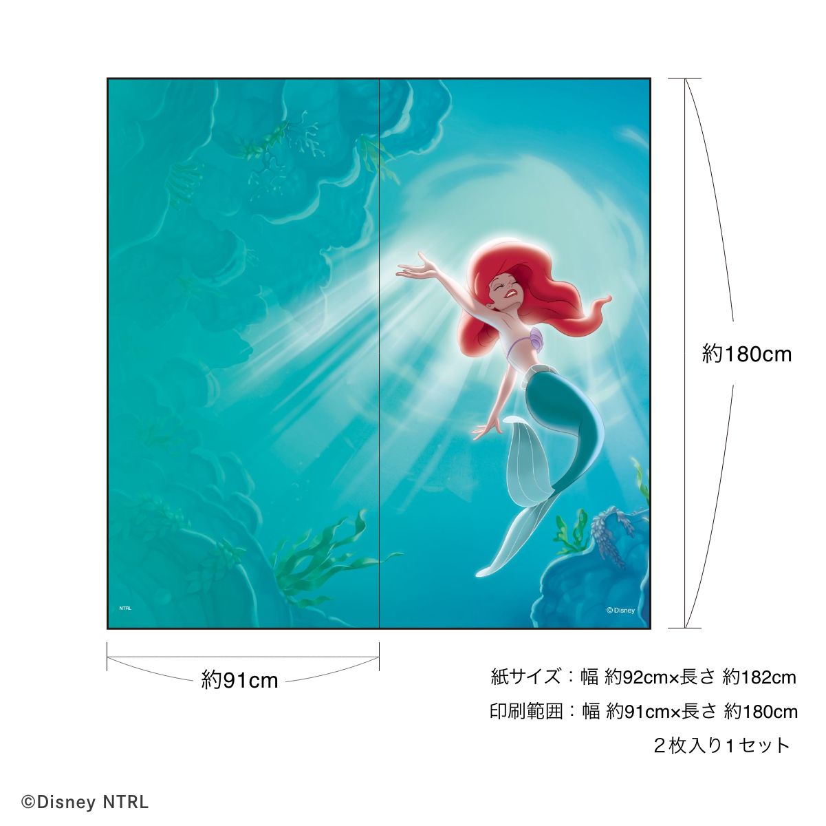 ディズニーキャラクター ふすま紙 ディズニープリンセス リトル・マーメイド  NTLP-015F 水で貼るタイプ 再湿 襖紙 幅約92cm×長さ約182cm 2枚1組 アサヒペン