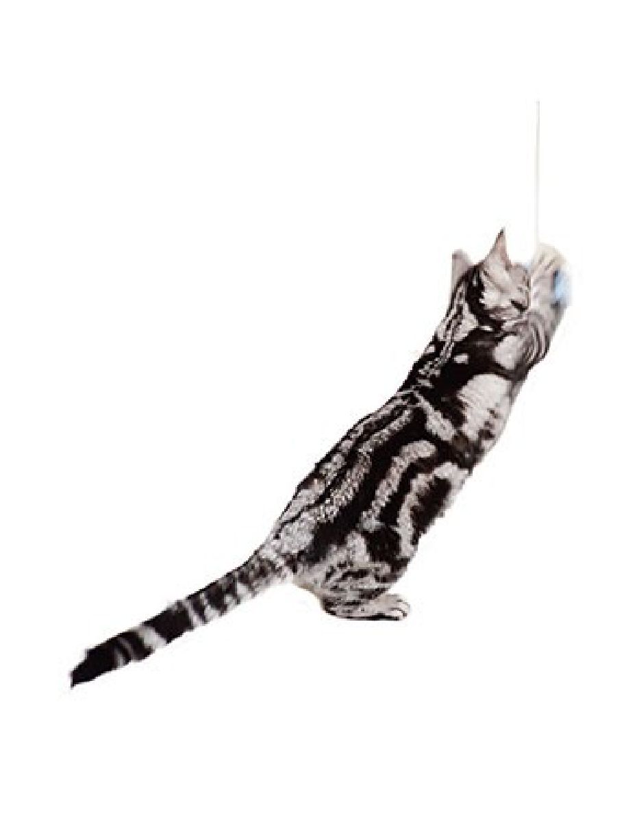 猫用おもちゃ 猫じゃらし 6本セット 日本製 カシャカシャじゃれるスーパーロング モス 棒が伸びる オーロラフィルム使用 音 光 色 3つの効果 ペッツルート ペット用品 ペット