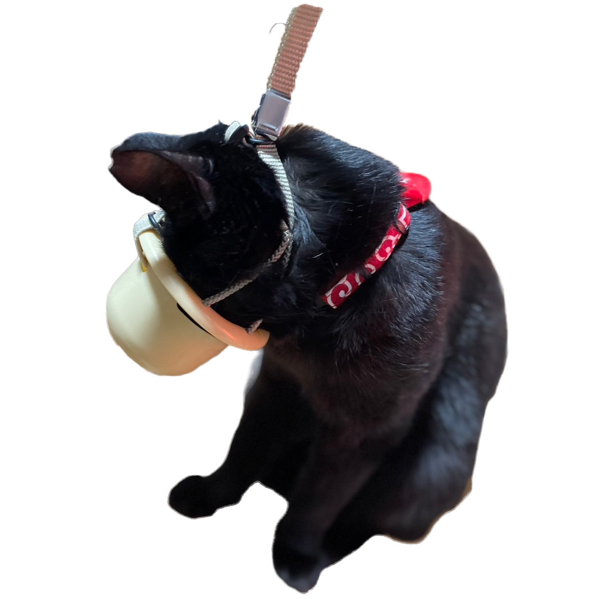 NEW グルーミングマスク S 小型犬用 猫用 トリミングマスク 口輪 日本製 ベージュ