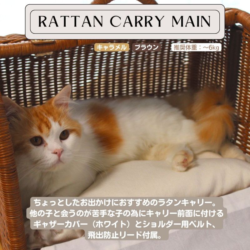 ペット用キャリー ラタンキャリーマイン ブラウン 猫用 推奨体重～6kgまで 外寸 幅44.5cm×奥30.5cm×高37cm ハンドル含む 内寸 幅41cm×奥23cm×高26cm