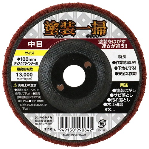 藤原産業 E-Value 塗装一掃 中目 5枚パック EV5ーTI10