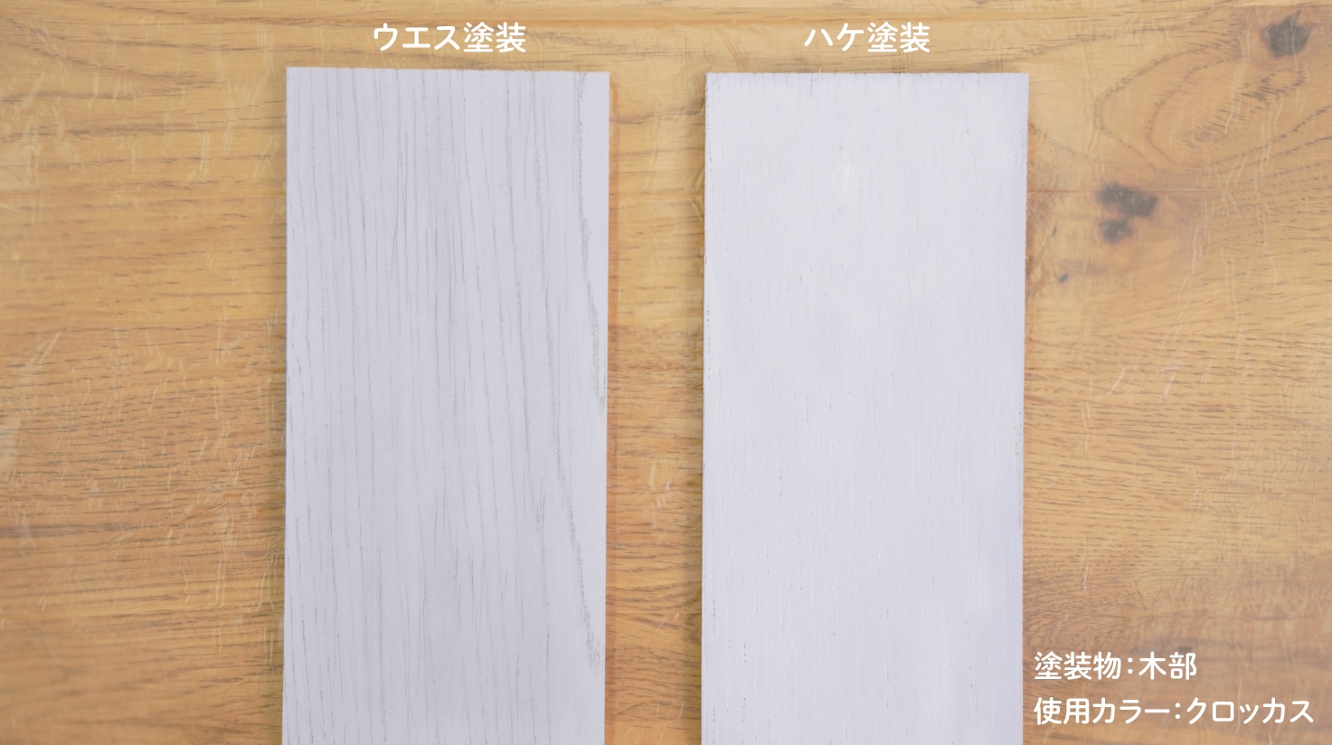 【色見本】水性アースカラーオリーブイン 色見本15色セット アサヒペン