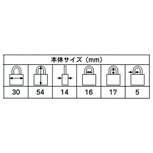 ABUS 真鍮南京錠 焼入れ弦 同番 EC75/30-KA