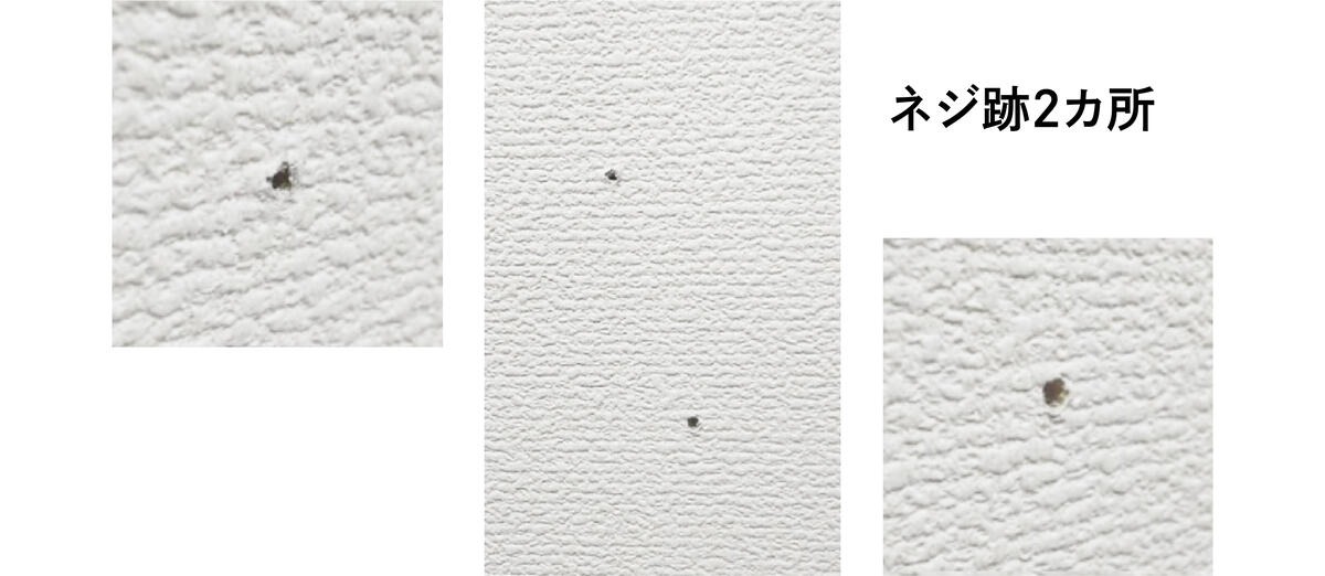 キャットステップ コーナー PC30R 1枚 H210×W400×D220mm キャットタワー クリア タカラ産業株式会社 ペット用品 ペット