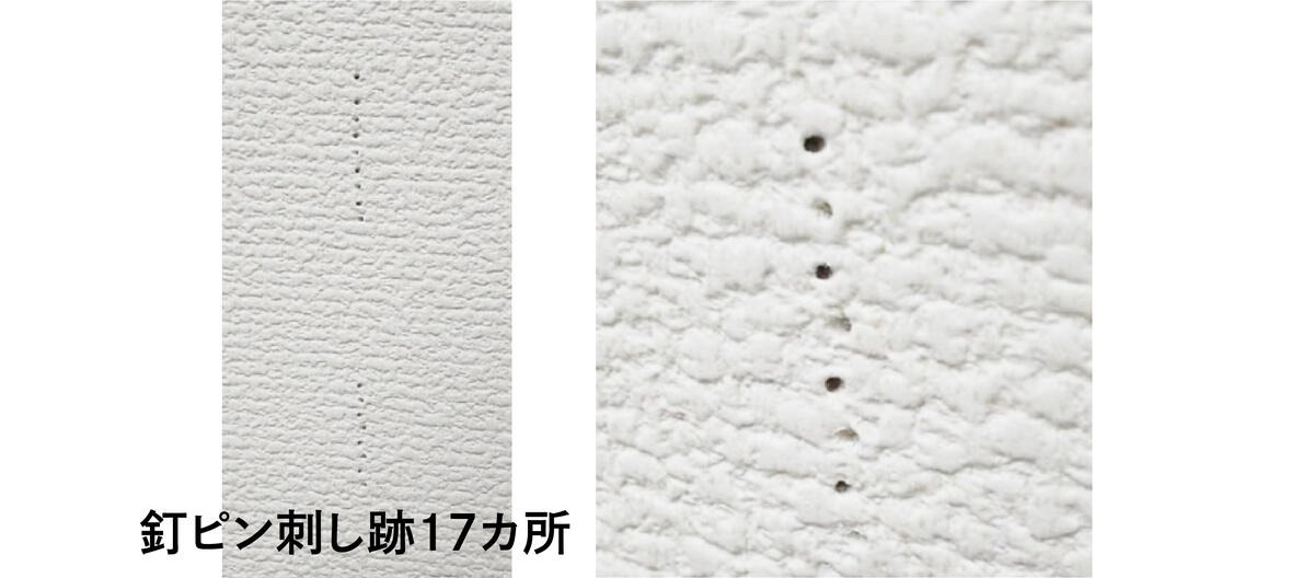 キャットステップ コーナー PC30R 1枚 H210×W400×D220mm キャットタワー クリア タカラ産業株式会社 ペット用品 ペット