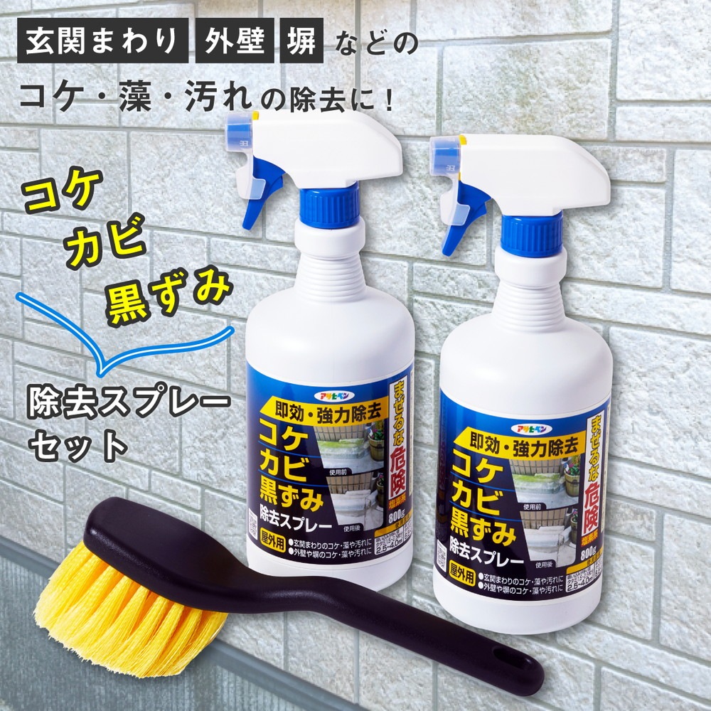 カビ取りスプレー コケ・カビ・黒ずみ除去スプレーセット 800g 2本 ハンディブラシ 1本 アサヒペン 掃除用品 洗浄剤 洗浄スプレー 泡洗浄 コンクリート洗浄 掃除道具 カビ防止 カビ取り剤