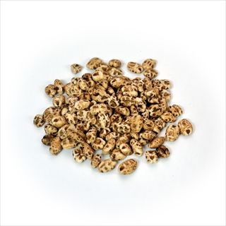 ペット用おやつ 犬用おやつ スナック もち麦ポン太郎 内容量：20g 国産 日本製 ダイシモチ使用 ポン菓子 パフ ペット用品 ペット