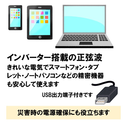 Holiy カセットガスインバータ発電機 23907