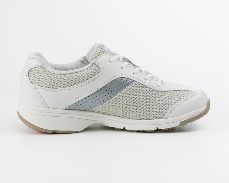 �ڿ����顼�ۥ�ǥ����륦������MS-L �����ܥ꡼