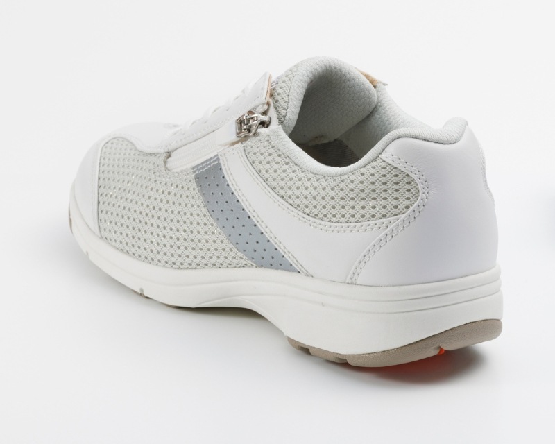 �ڿ����顼�ۥ�ǥ����륦������MS-L �����ܥ꡼