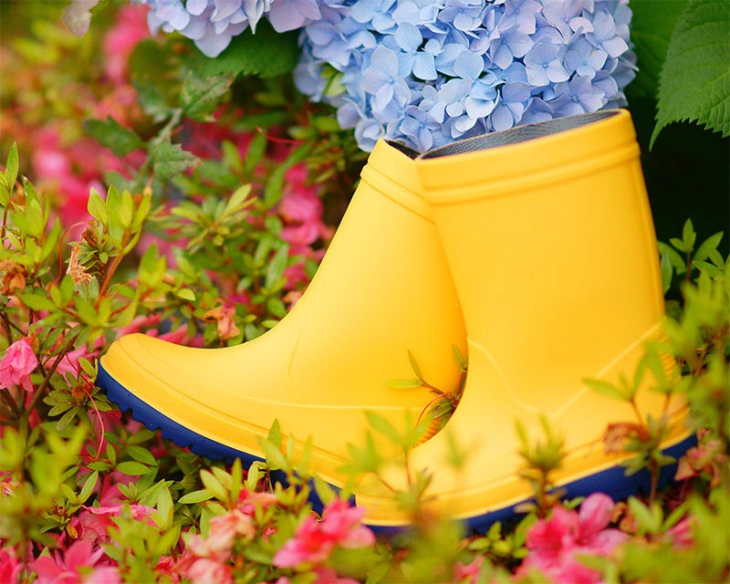 meditube ブースタープロ イエロー(ゆず色) meditube ブースタープロ イエロー(ゆず色)