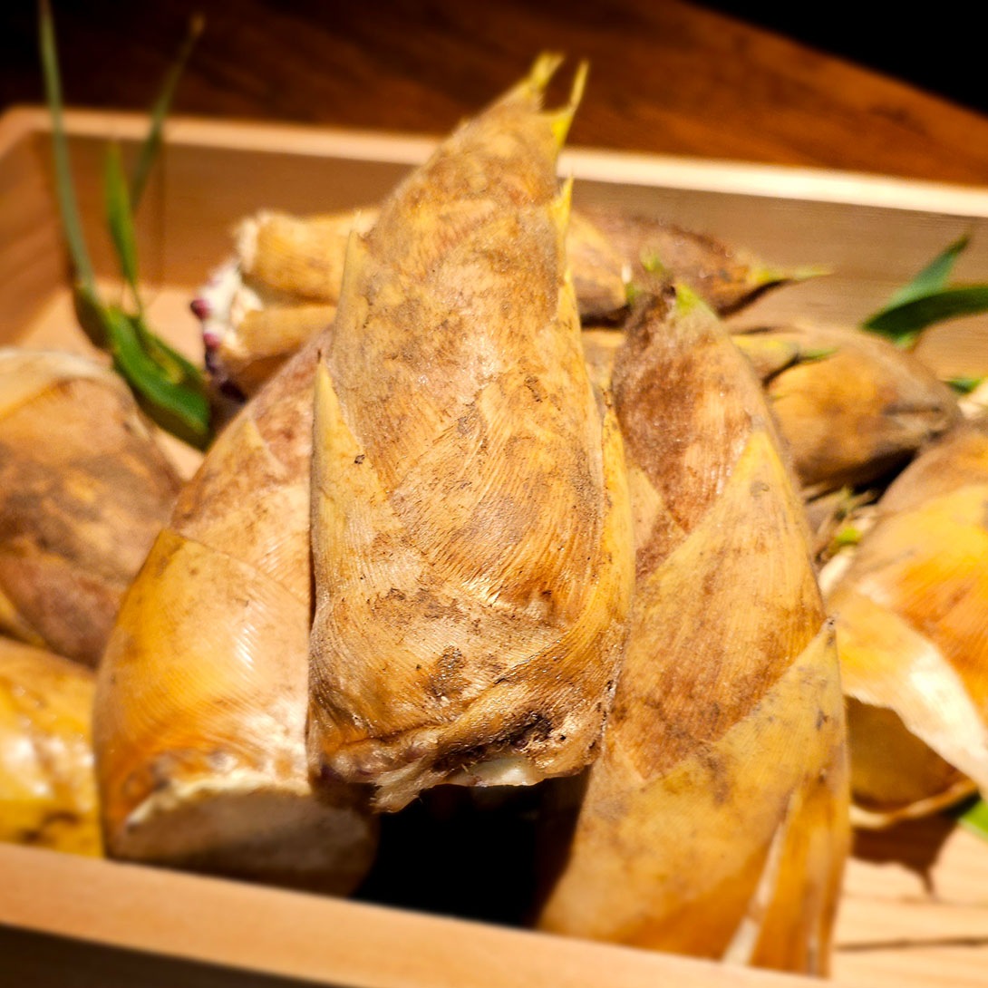 世界一の竹の子煮物セット5人前