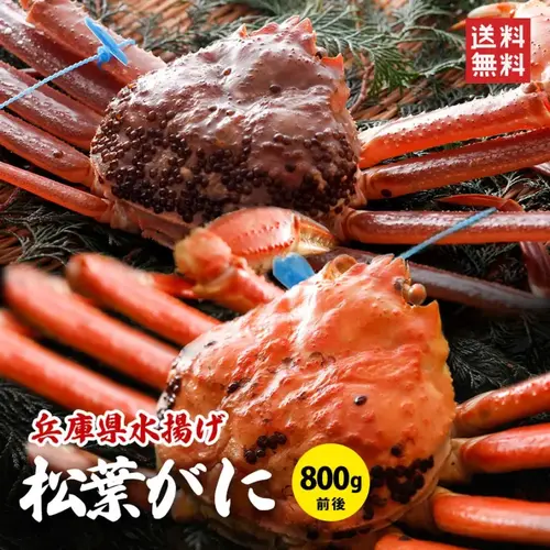 �þ�֥��ɾ��դ���800g�����1�ա�