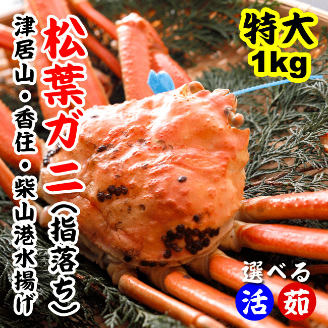 【送料無料】【訳あり】特上ブランド松葉かに1kg前後(1杯)