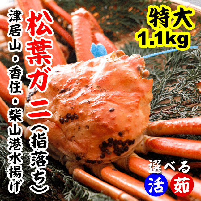 【送料無料】【訳あり】特上ブランド松葉かに1.1kg前後(1杯)