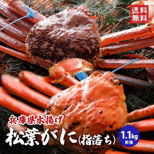 【先行予約８％OFF】【訳あり】特上ブランド松葉かに1.1ｋg前後（1杯）