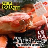 觤ǹύȥ磻800g1ա
