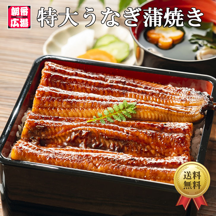 ���ʤ����Ƥ� ���祵����/�ʣ�����