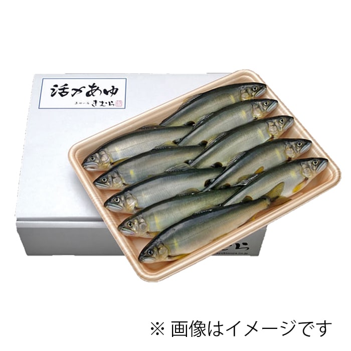 【秋季限定】活〆子持ちあゆ (6尾入)