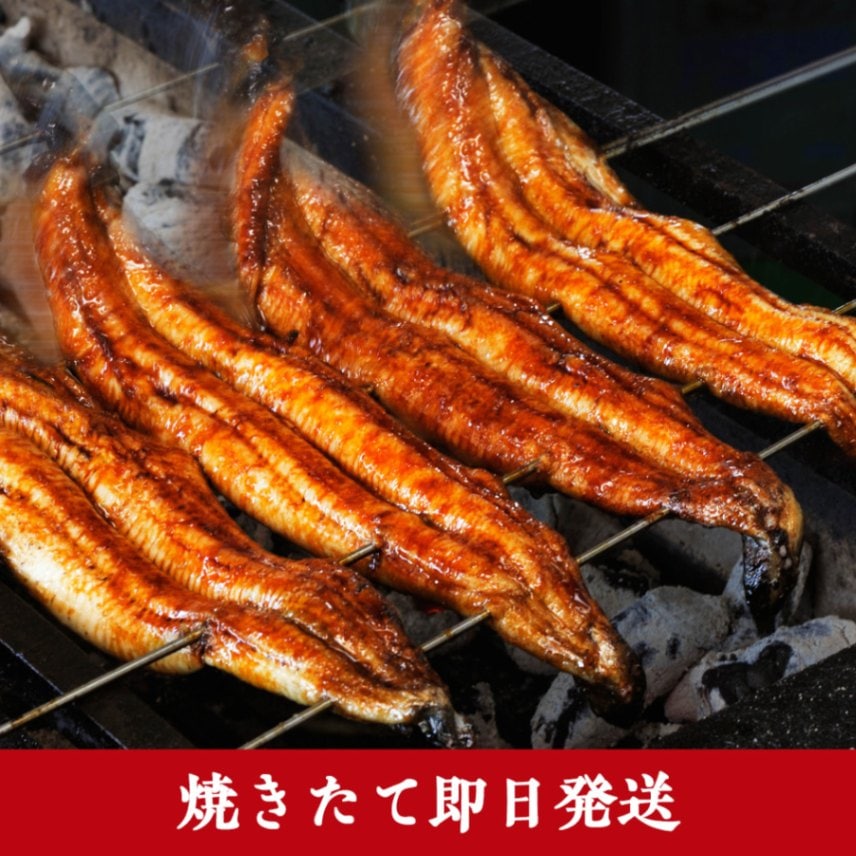 【焼きたて即日発送】 炭火焼き 国産うなぎ蒲焼き