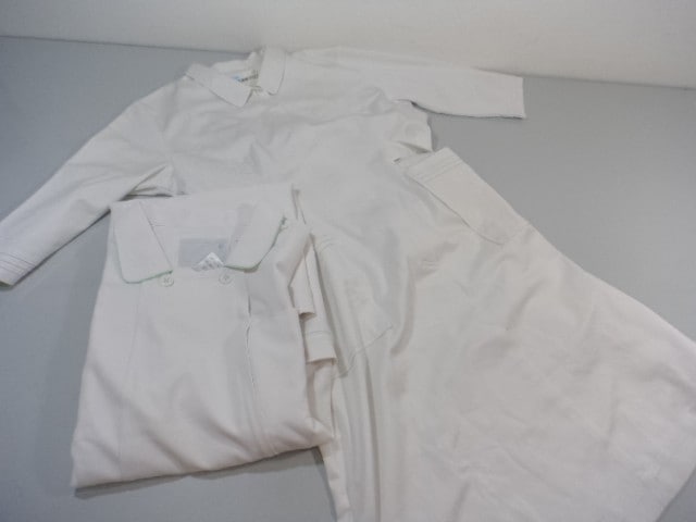 作業服 制服 ナース服 ナガイレーベン 白衣EL▼Careal 2点セット/10yt360