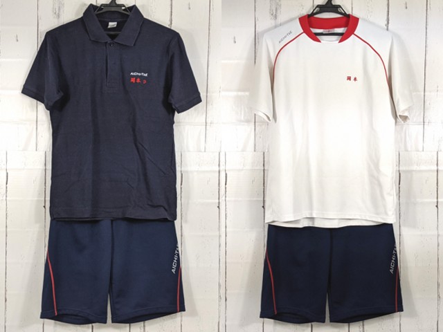 P90 愛知県 愛知総合工科高校 体操服 体操着 半袖シャツ+半袖ポロシャツ+ハーフパンツ/yt4220【4RVA】
