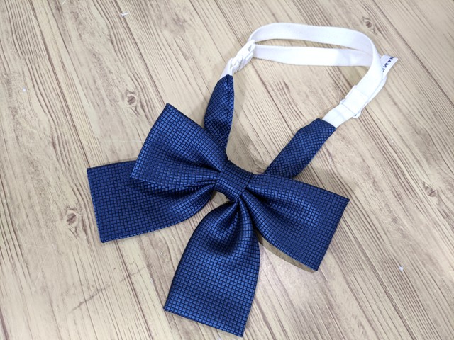 o44 京都産業大学附属高校 ブレザー+夏服/冬服スカート+リボン/yt3371【14SDK】