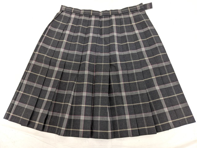 D45 愛知県 至学館高校 ブレザー+夏服・冬服スカート+リボン/yt3155