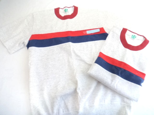 a20大阪府立八尾翠翔高等学校/八尾東高等学校○体操着 サイズL/SS015