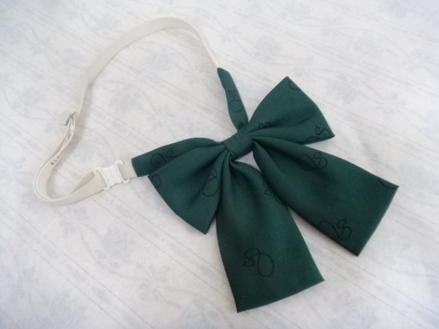 K54/千葉専修大学松戸高等学校■女子高校生 ブレザー制服 チェック柄スカート/4og681