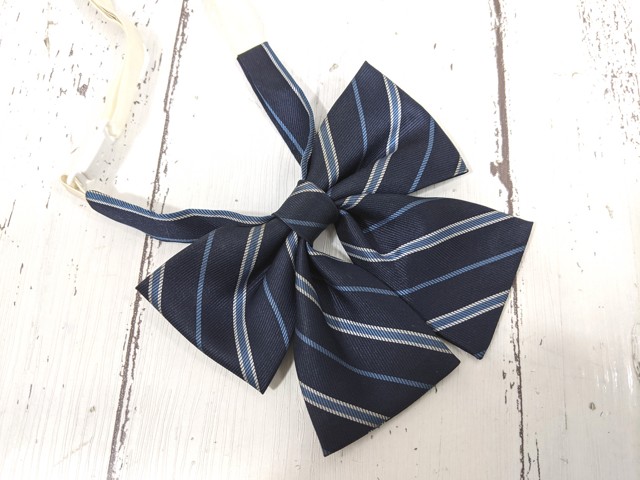 y56 京都府 塔南高校 ブレザー+セーター+冬服スカート+ネクタイ+リボン/yt4216【27SKE】