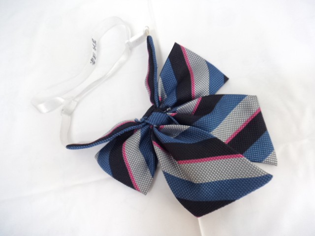 Q80 愛知中学校 高校 ブレザー▼セーター▼ブラウス▼スカート▼リボン▼通学用カバン/yt0007