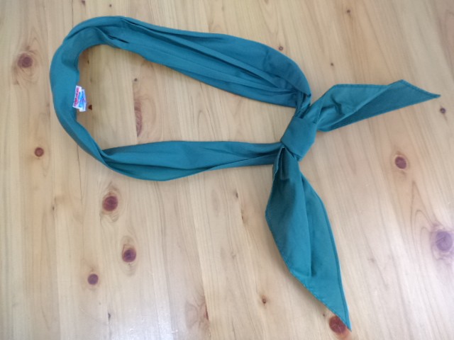 N99 滋賀県大津市立皇子山中学校 冬セーラー上下 緑スカーフ 4sn033 女子制服 中学校 セット 中古学生服の専門店 A 制服店 Com