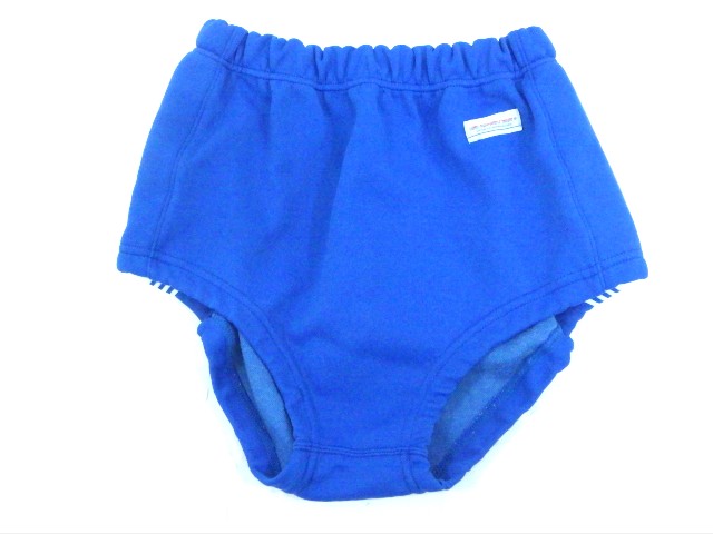 ブルマ アンスコ