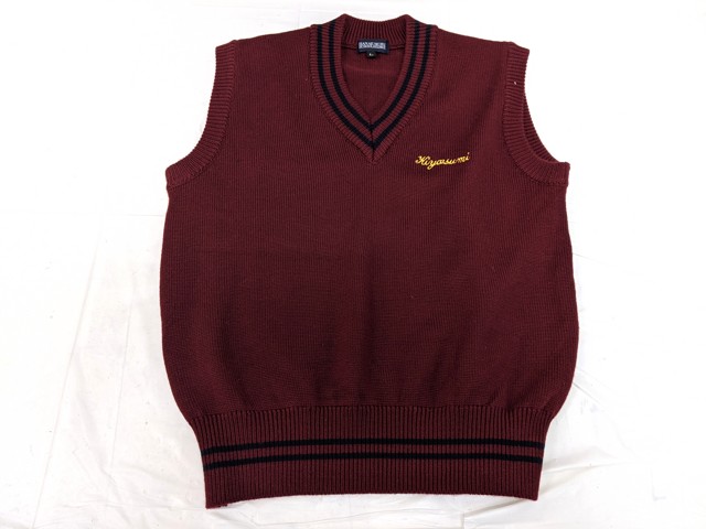 L03 栃木県 佐野清澄高校 モリハナエ ブレザー+夏袖・長袖シャツ+ニットベスト+冬服スカート+リボン/yt2804【1JET】