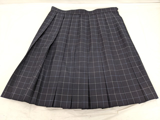 L03 栃木県 佐野清澄高校 夏袖・長袖シャツ+夏服スカート/yt2806【12DE】