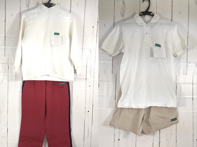 d22 神奈川県 洗足学園中学高校 体操服 体操着 ポロシャツ+ハーフ