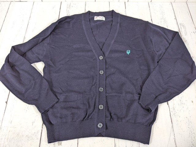 a62 大阪府 大阪学芸高校 カーデガン+夏服スカート/yt4501【8CKE