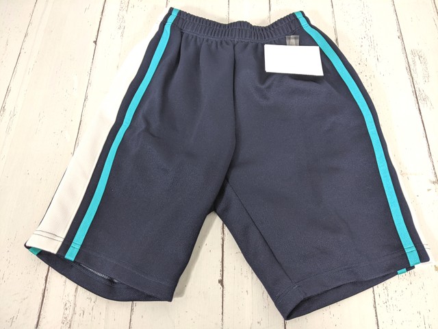 Z53 茨城県 私立大成女子高校 体操服 体操着 シャツ+ハーフパンツ/yt4391【35EW】