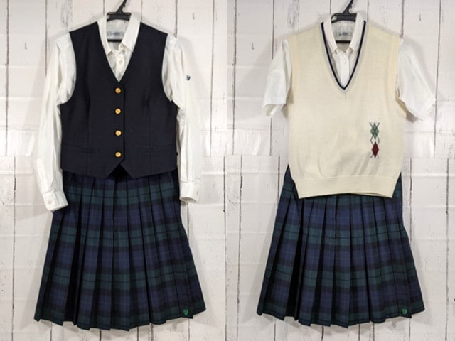 愛知みずほ大学瑞穂高等学校 スクールバッグ 指定バッグ N22 愛知