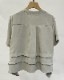 [33] ZIP S/TEE